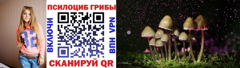 Псилоцибиновые грибы прущие грибы  Калач-на-Дону 